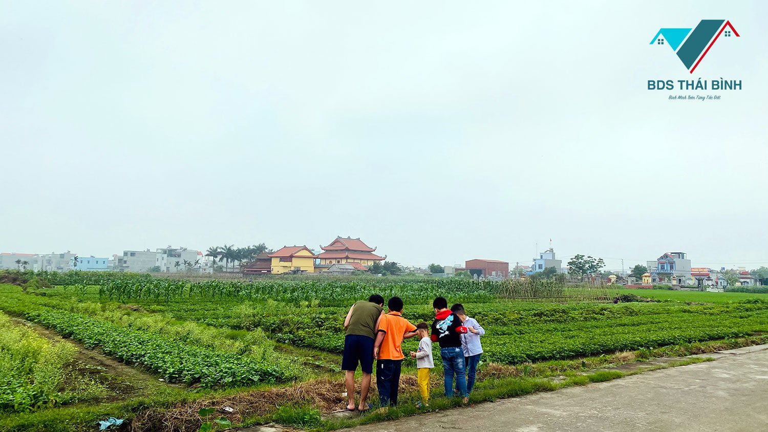 Đất nông nghiệp