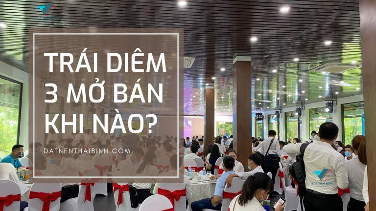 Dự Án Đất Nền Trái Diêm 3 mở bán khi nào?